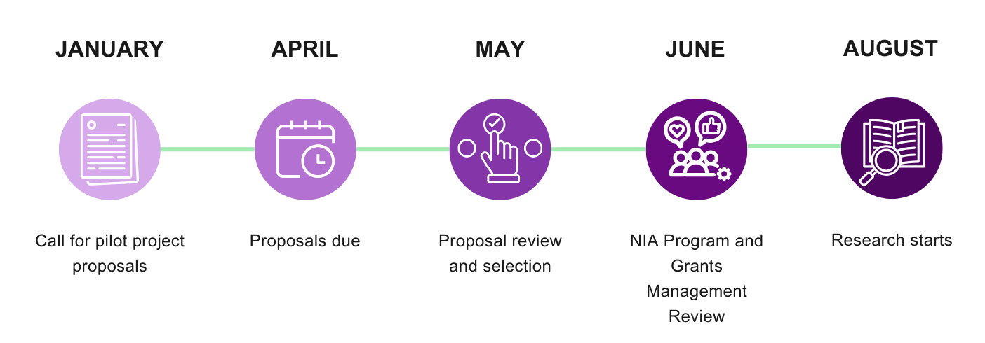 Pilot Project Schdule